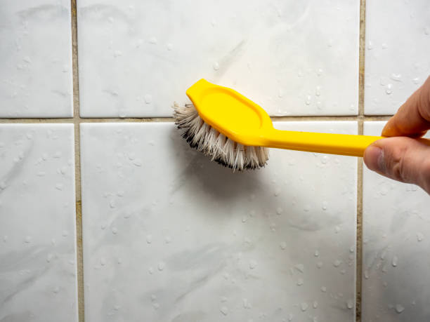 Home Mold Removal in Linden, NJ