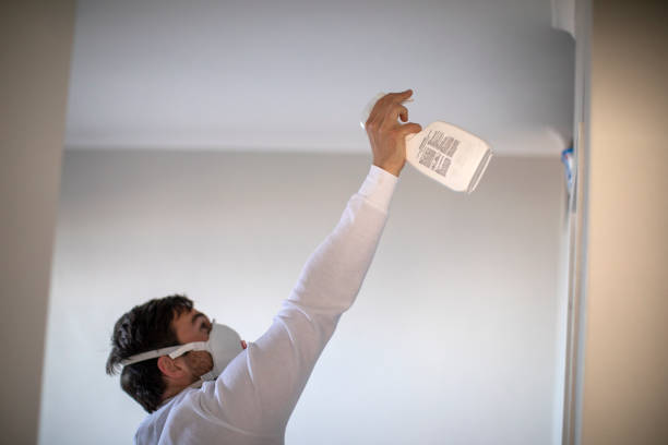 Best Mold Removal Near Me  in Linden, NJ