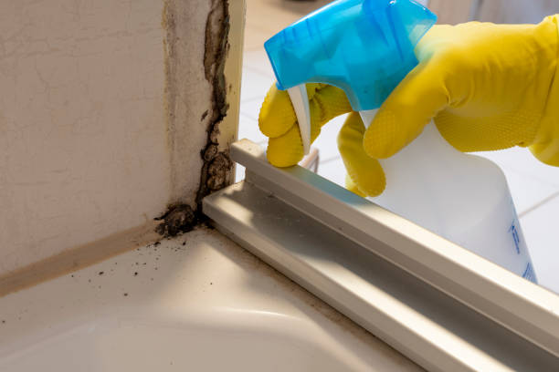 Best Home Mold Removal  in Linden, NJ