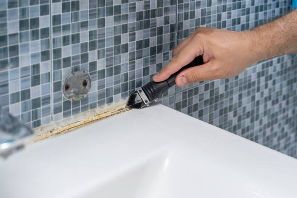 Best Mold Remediation  in Linden, NJ
