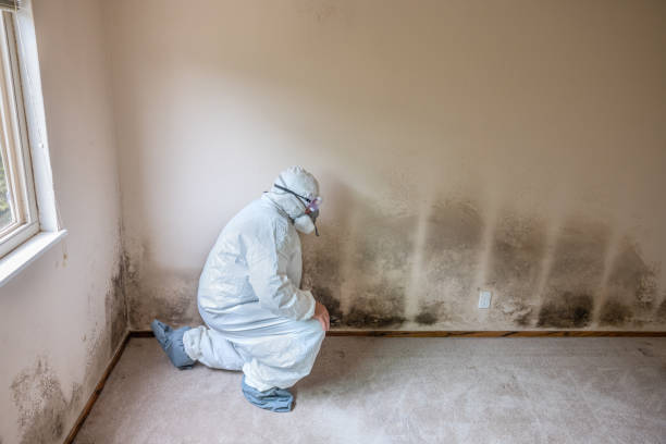 Best Residential Mold Removal  in Linden, NJ