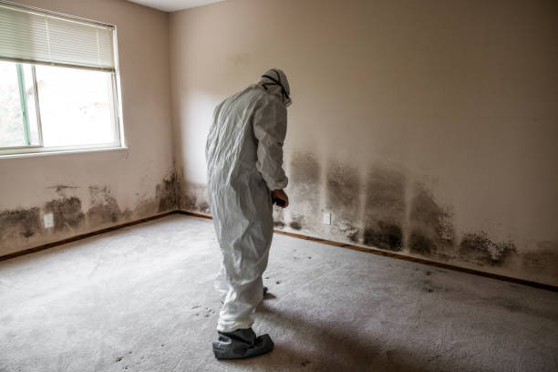 Best Mold Testing  in Linden, NJ