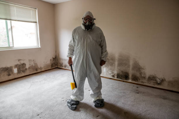 Best Office Mold Removal Services  in Linden, NJ