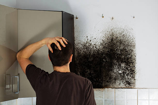 Best Professional Mold Removal  in Linden, NJ